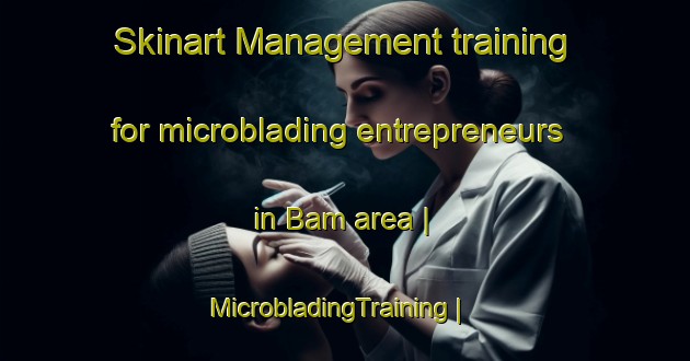 Skinart Management training for microblading entrepreneurs in Bam area | MicrobladingTraining | MicrobladingClasses | SkinartTraining-India
